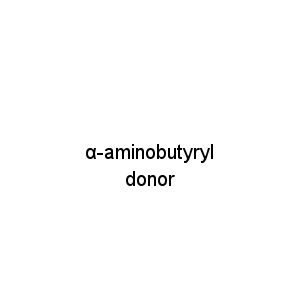 α-aminobutyryl donor